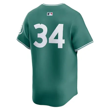 Men's Boston Red Sox #34 David Ortiz
Green 2025 City Connect Limited Retired Player Jersey